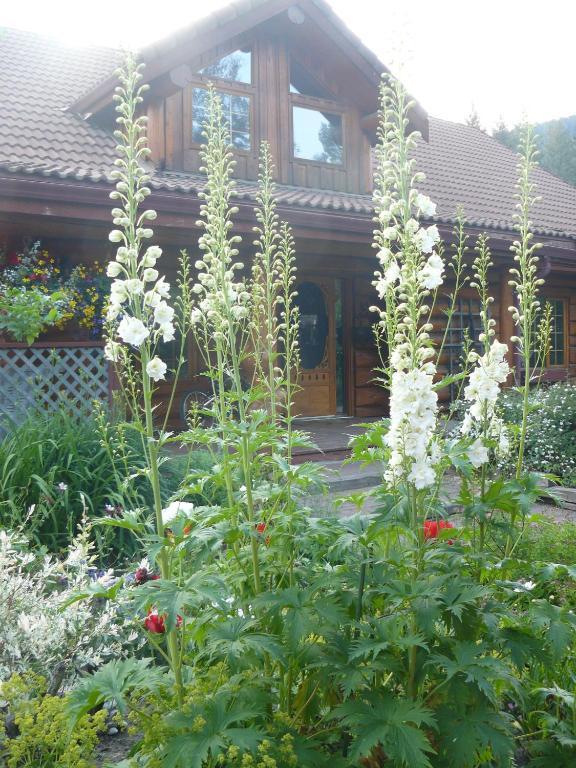 Hitching Post Resort Kelowna Zimmer foto
